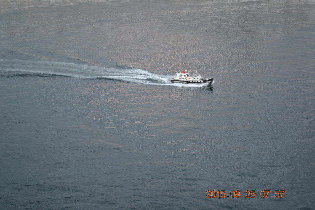 DSC_0251 DSC_0251
