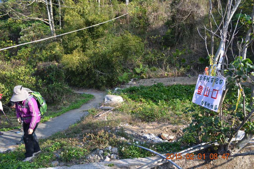 DSC_0001 DSC_0001