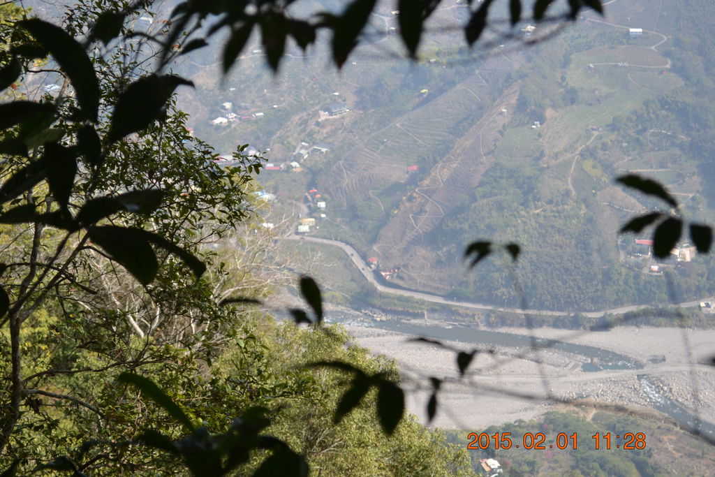 DSC_0038 DSC_0038