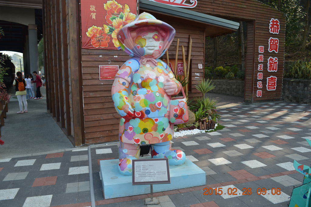 DSC_0011 DSC_0011
