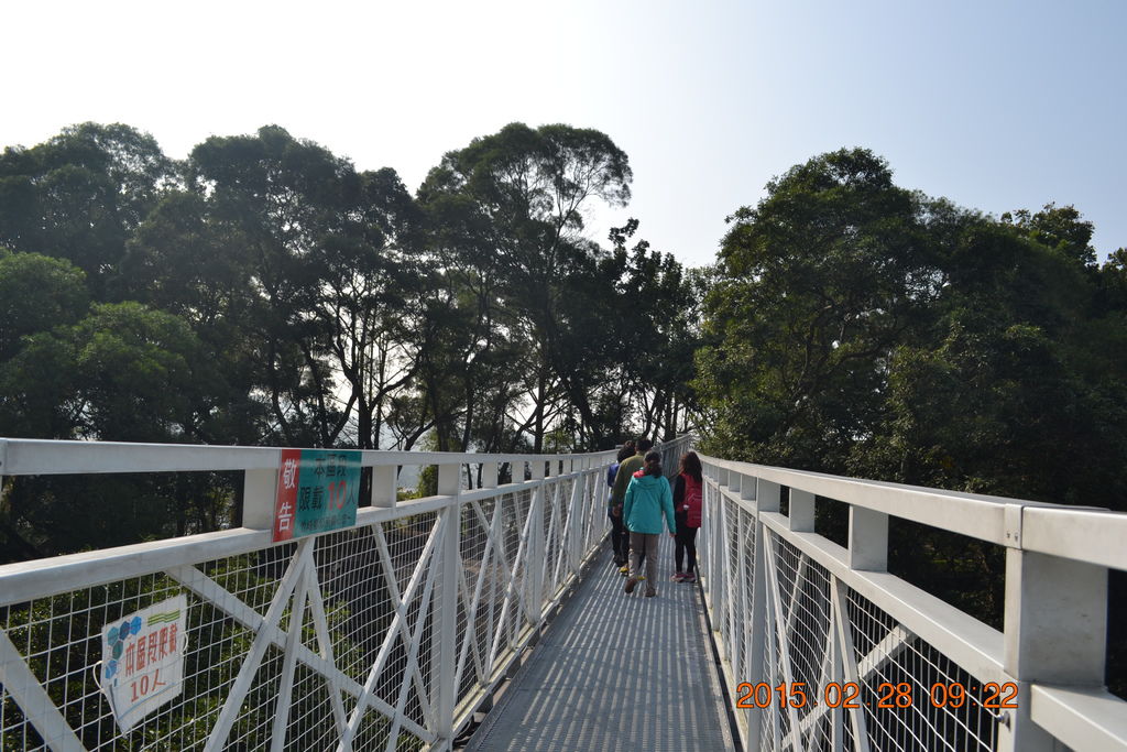 DSC_0037 DSC_0037