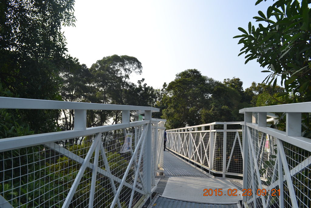 DSC_0036 DSC_0036