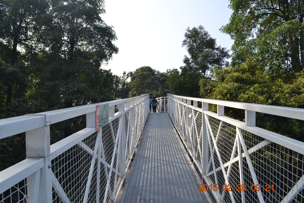 DSC_0035 DSC_0035
