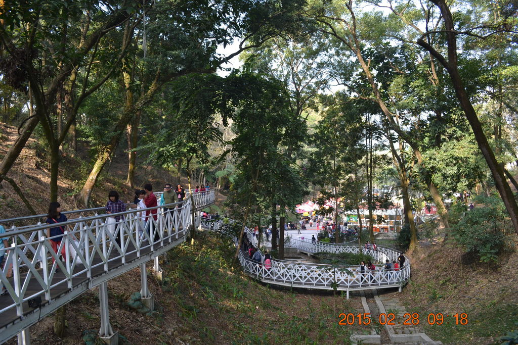 DSC_0027 DSC_0027