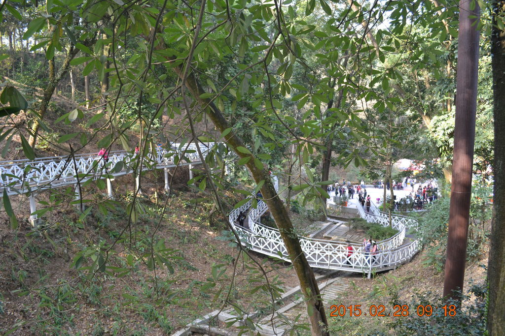 DSC_0028 DSC_0028
