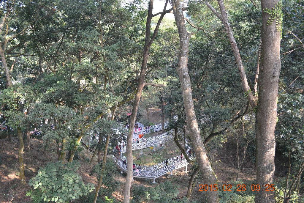 DSC_0047 DSC_0047