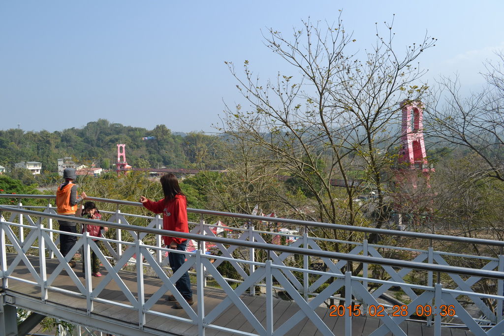 DSC_0062 DSC_0062