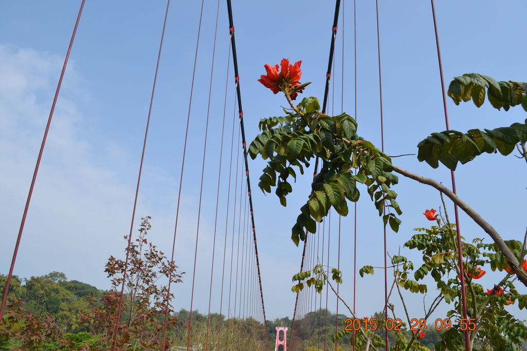 DSC_0079 DSC_0079