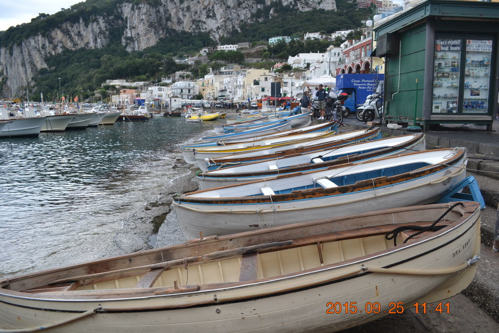 DSC_0337 DSC_0337