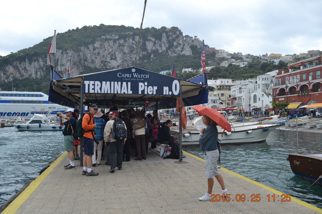 DSC_0330 DSC_0330