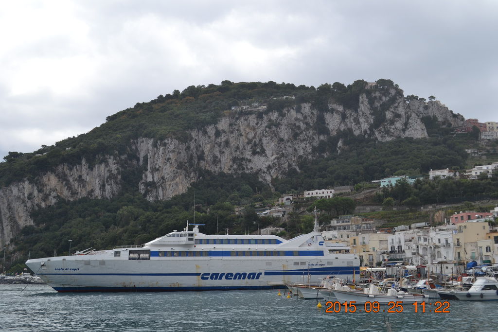 DSC_0325 DSC_0325