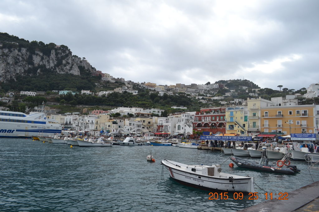 DSC_0324 DSC_0324