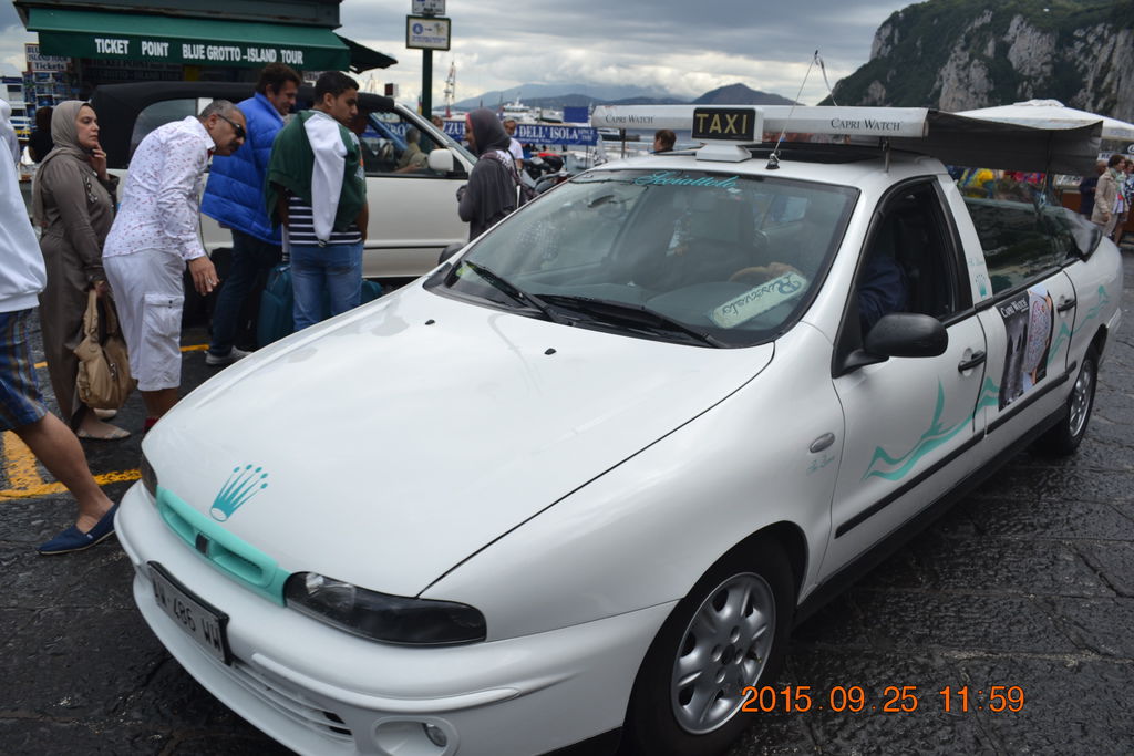 DSC_0347 DSC_0347