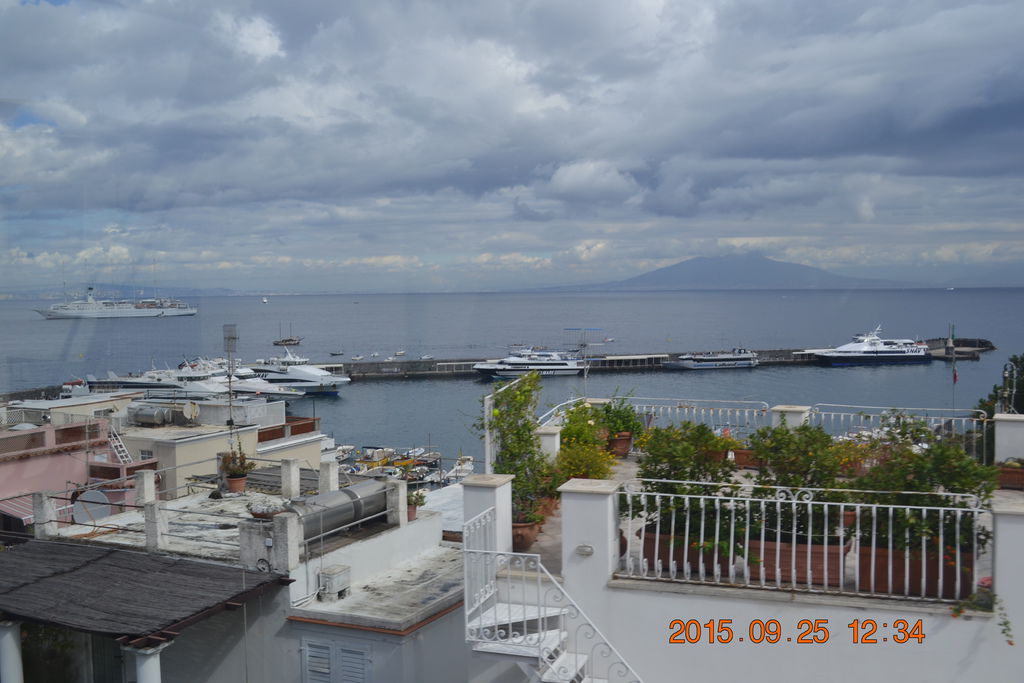 DSC_0356 DSC_0356
