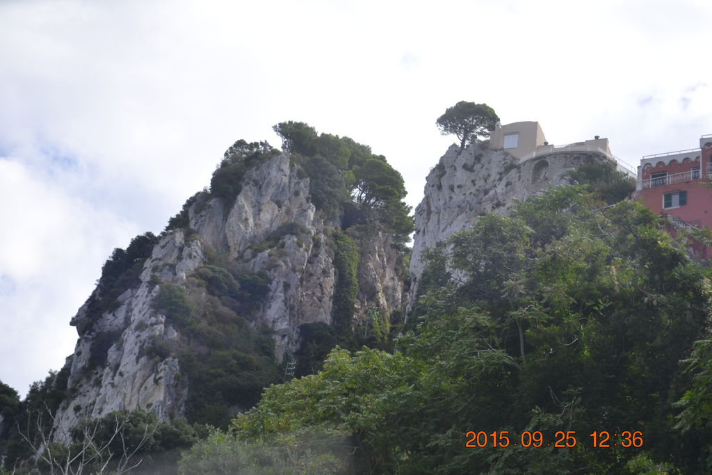 DSC_0360 DSC_0360