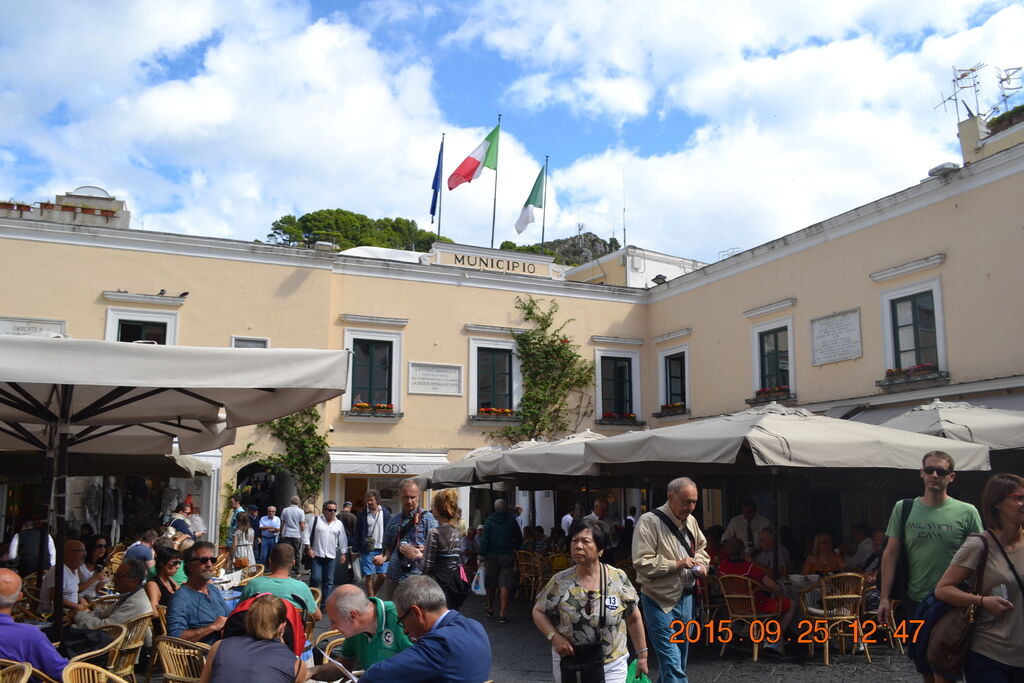 DSC_0387 DSC_0387