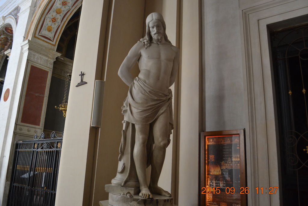 DSC_0809 DSC_0809