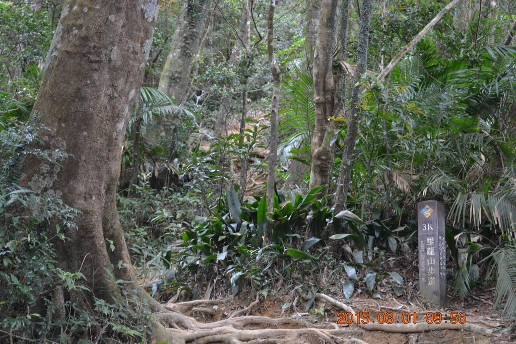 DSC_0346 DSC_0346
