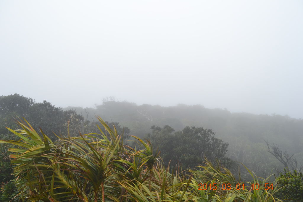 DSC_0359 DSC_0359