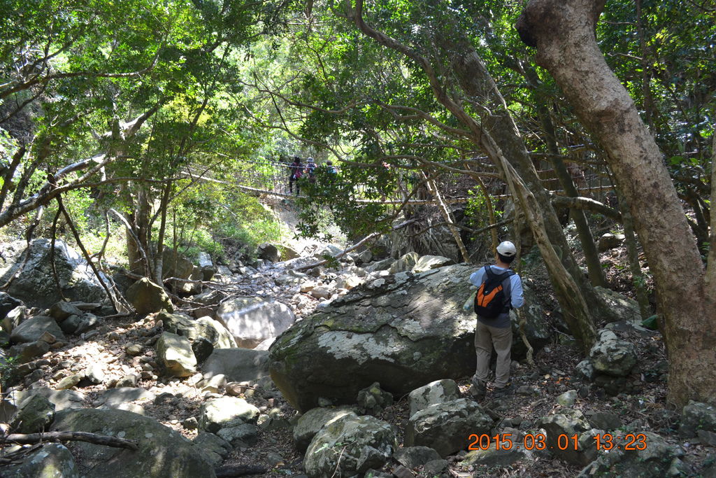DSC_0377 DSC_0377