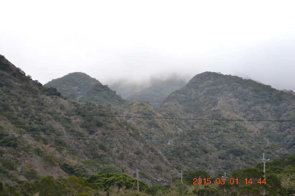 DSC_0417 DSC_0417