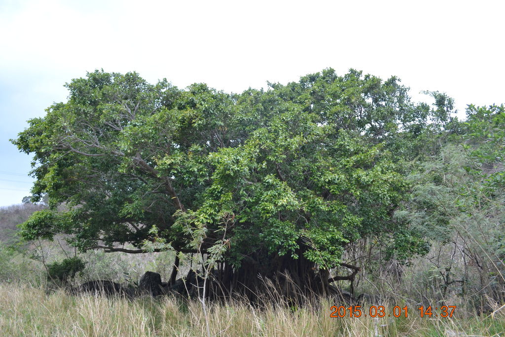 DSC_0409 DSC_0409