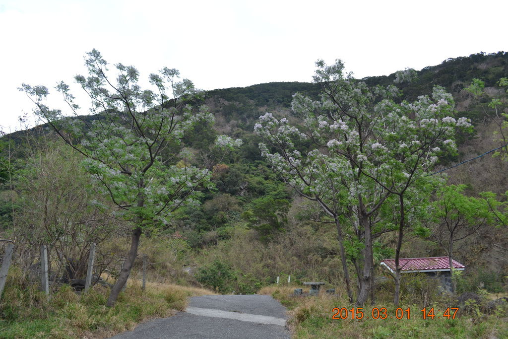 DSC_0419 DSC_0419