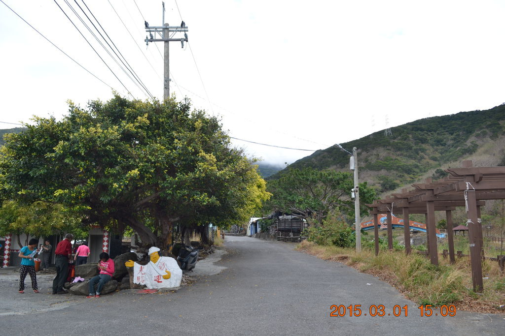 DSC_0436 DSC_0436
