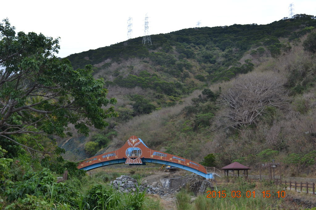 DSC_0437 DSC_0437