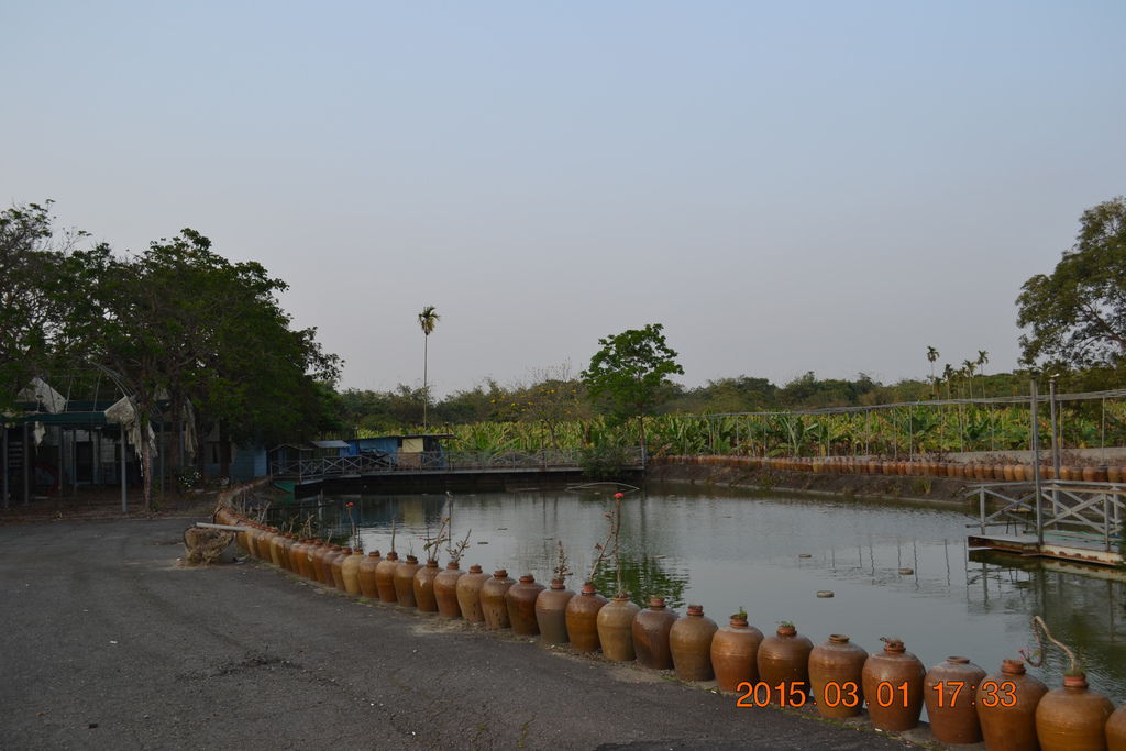DSC_0442 DSC_0442