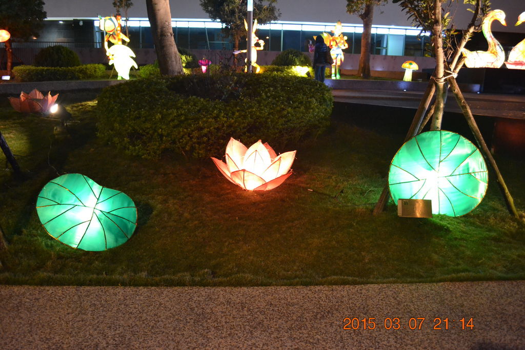 DSC_0032 DSC_0032