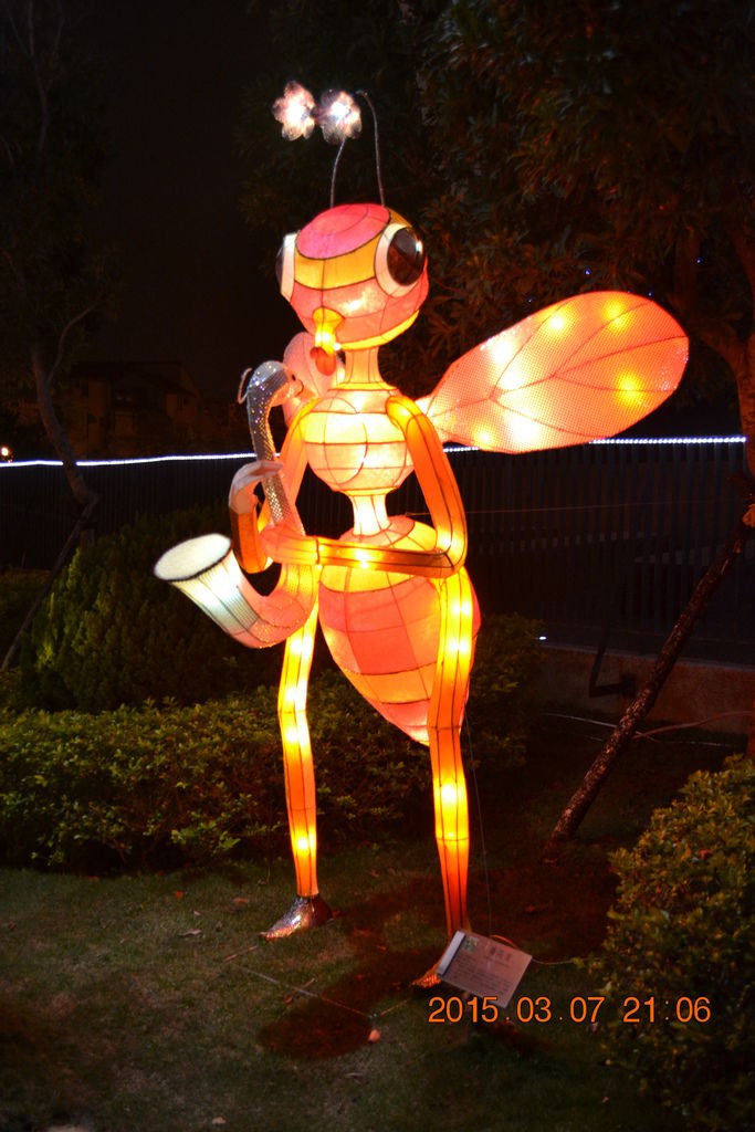 DSC_0009 DSC_0009