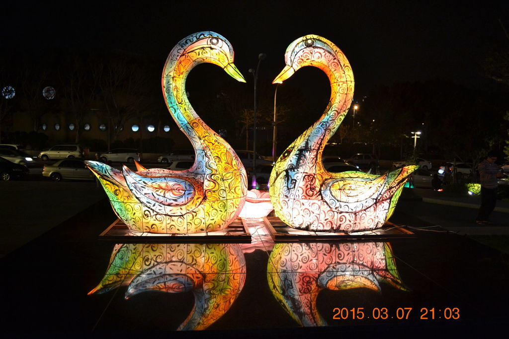 DSC_0003 DSC_0003