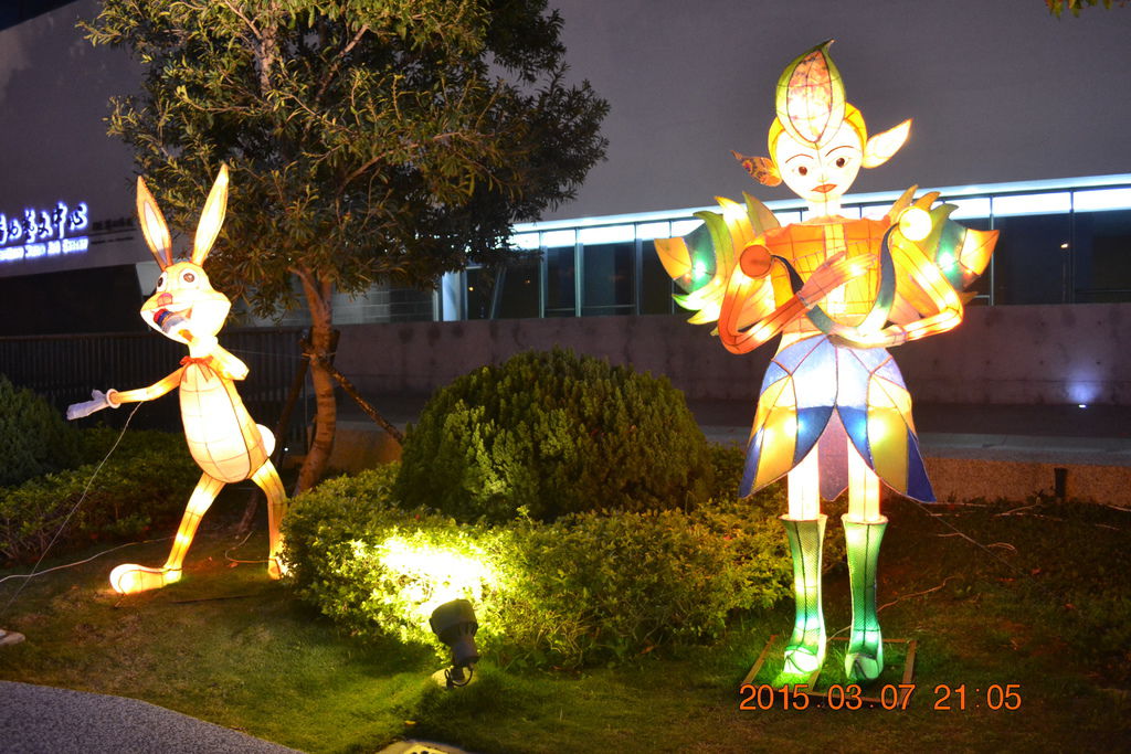 DSC_0007 DSC_0007