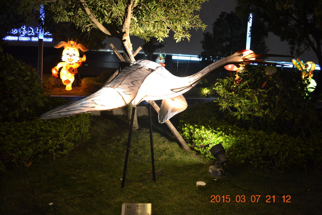 DSC_0028 DSC_0028