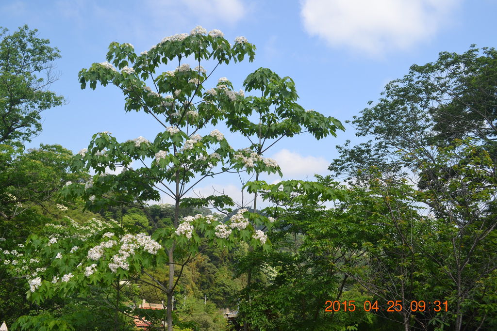 DSC_0046 DSC_0046