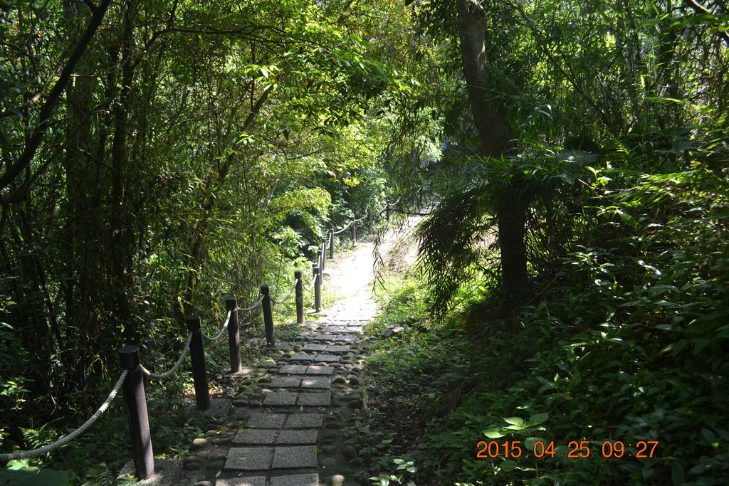 DSC_0039 DSC_0039