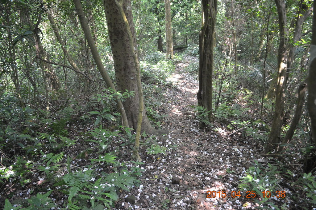 DSC_0088 DSC_0088