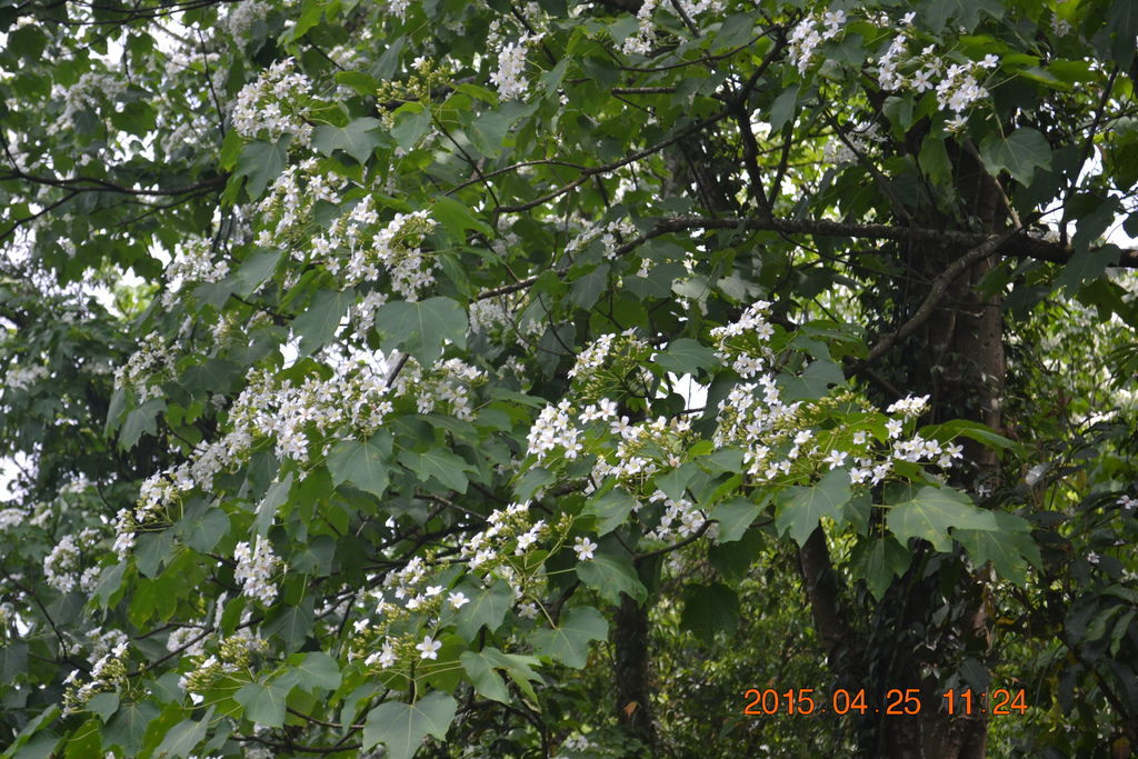 DSC_0102 DSC_0102
