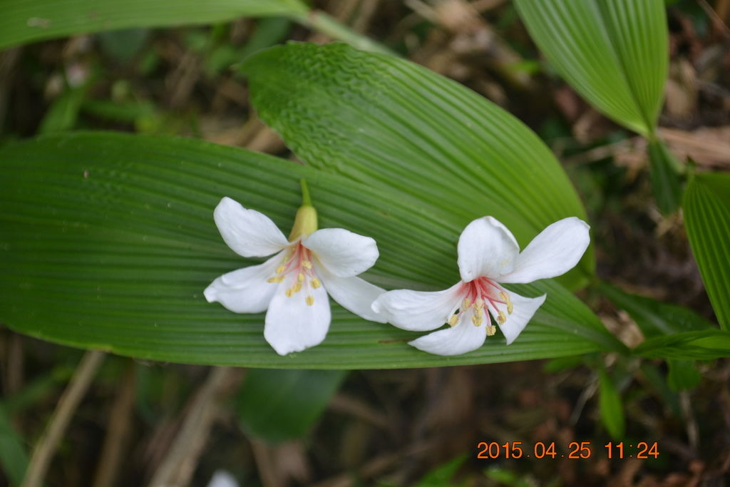 DSC_0103 DSC_0103