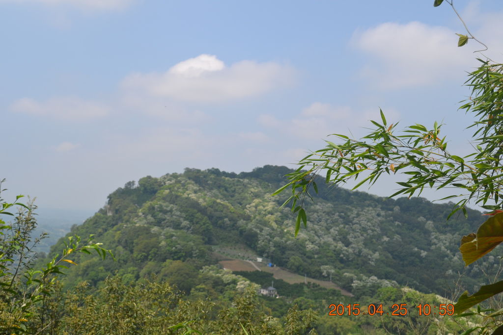 DSC_0091 DSC_0091
