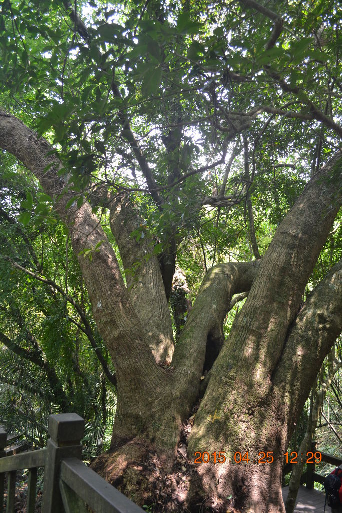 DSC_0138 DSC_0138