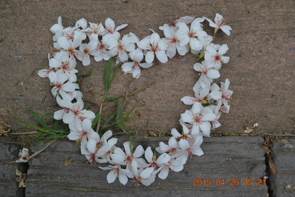DSC_0022 DSC_0022