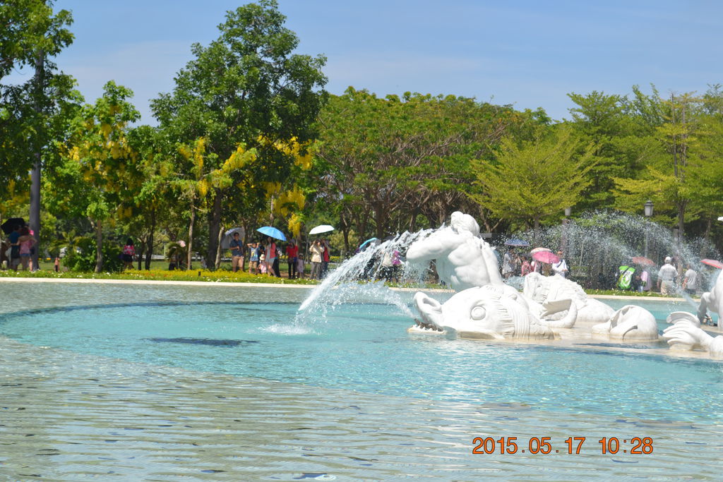 DSC_0050 DSC_0050