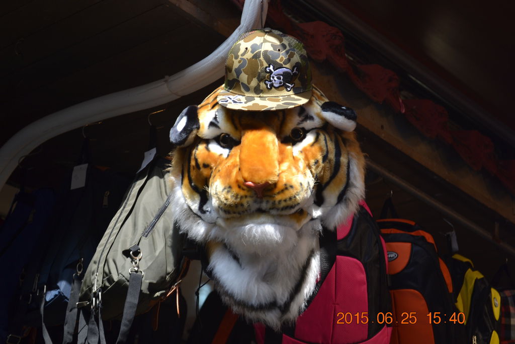 DSC_0188 DSC_0188