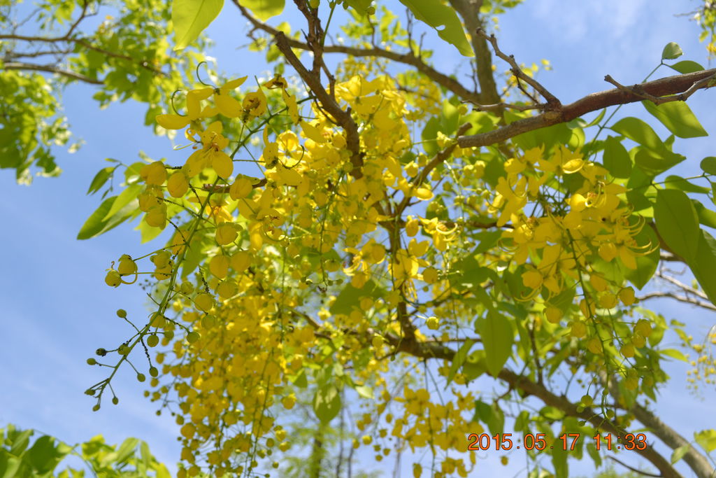DSC_0172 DSC_0172