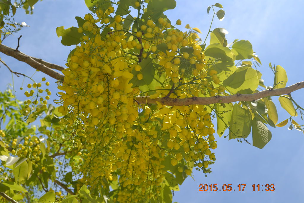 DSC_0170 DSC_0170