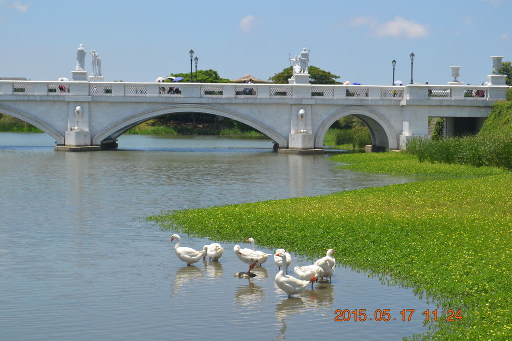 DSC_0157 DSC_0157