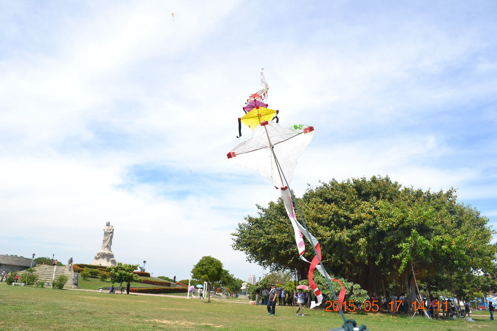 DSC_0231 DSC_0231