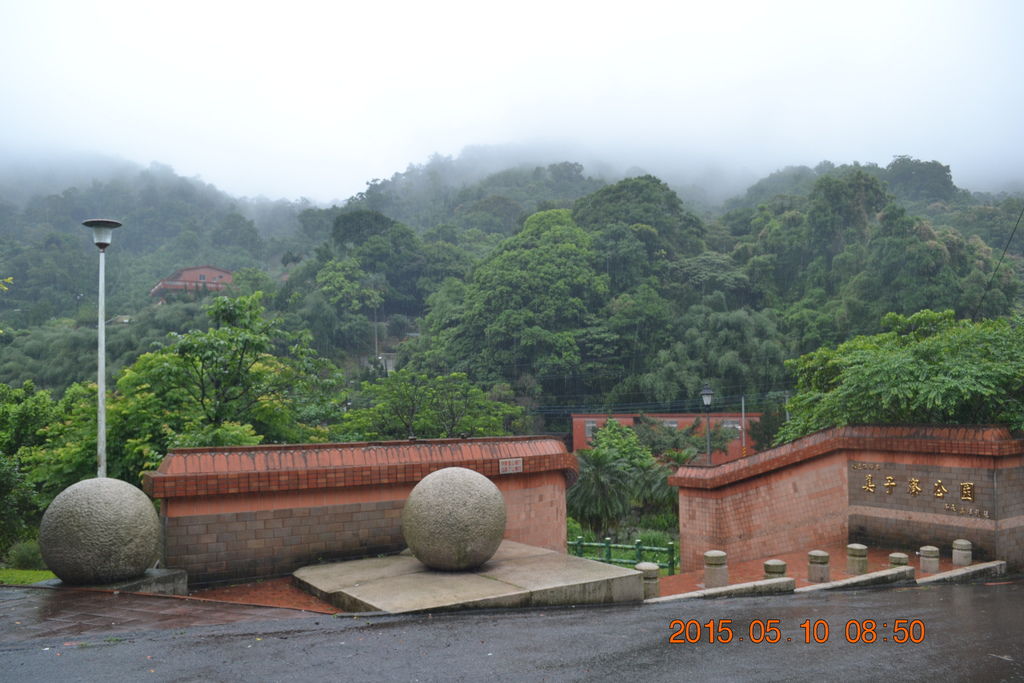 DSC_0078 DSC_0078